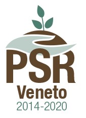 Logo PSR